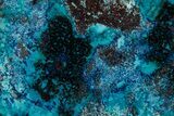 Vibrant Chrysocolla and Shattuckite Slice - Mexico #384312-1